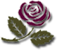 ico-rose-big