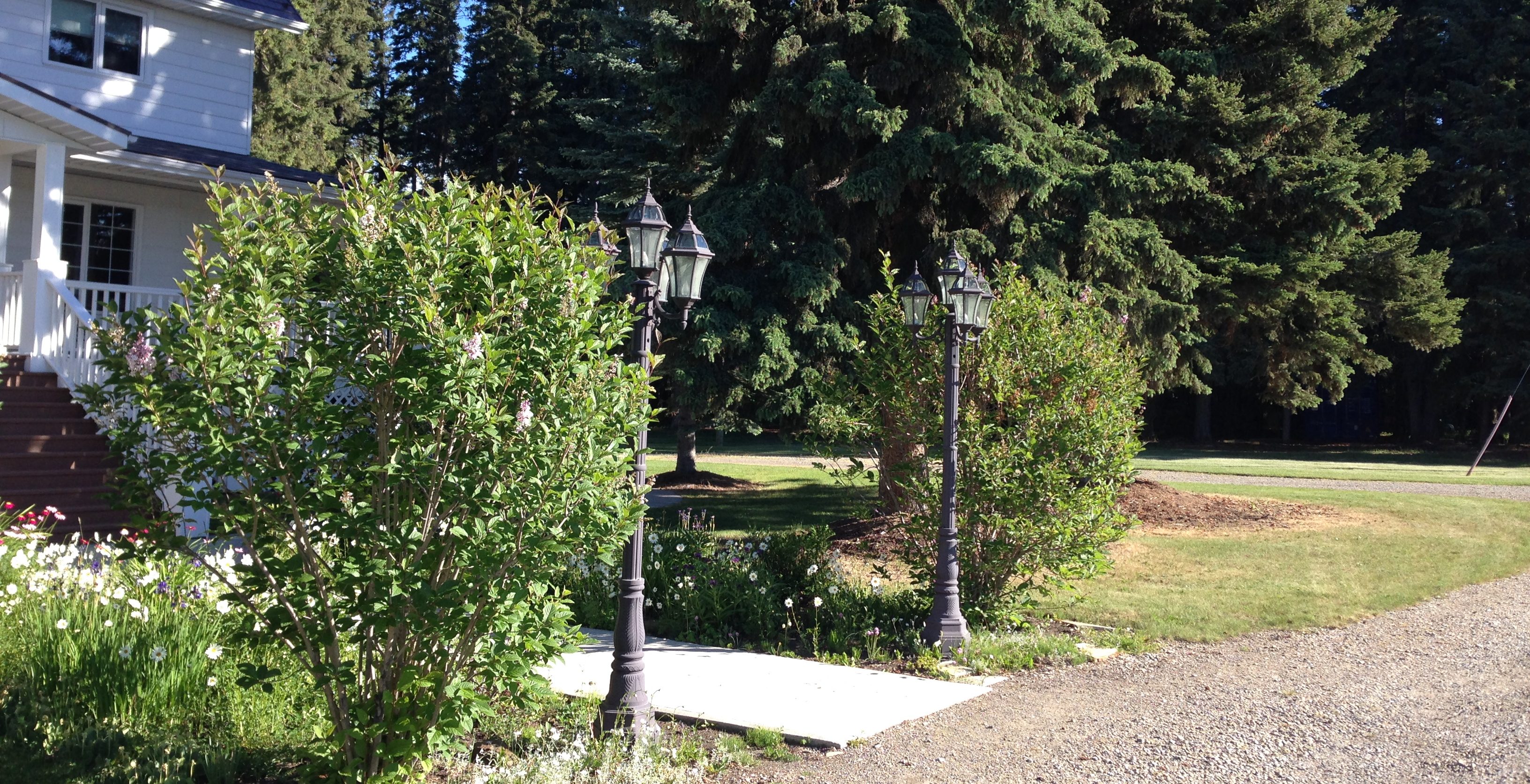 Header Image - Rosewood Resort